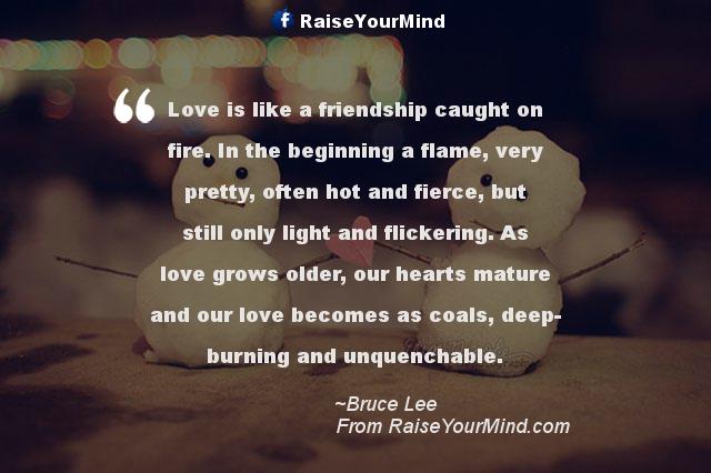 Love Is Like A Friendship Caught On Fire In The Beginning A Flame Very Pretty Often And Fierce But Still Only Light And Flickering