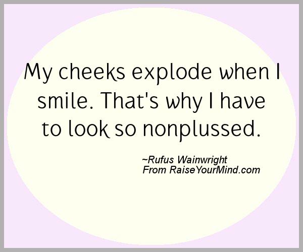 A nice happiness quote from Rufus Wainwright - Proverbes Happiness