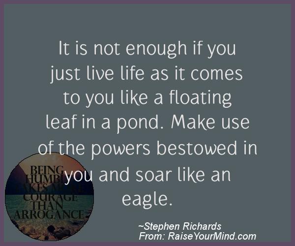 A nice motivational quote from Stephen Richards