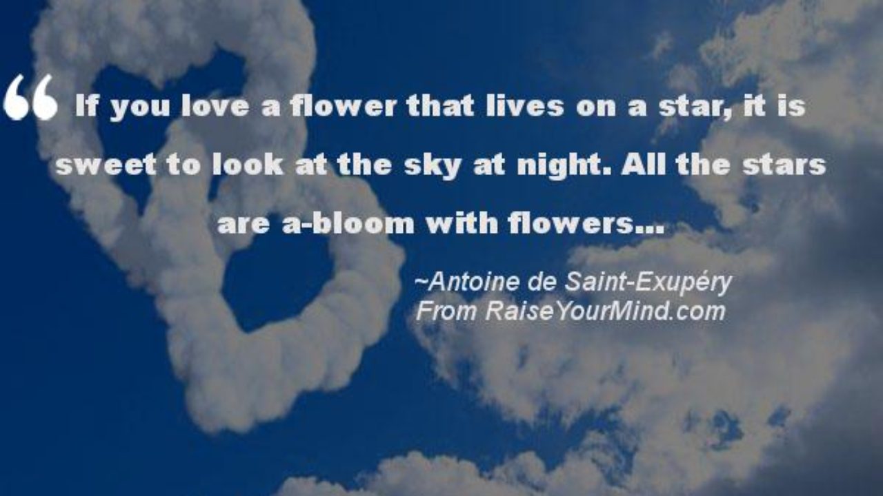 Love Quotes Sayings Verses If You Love A Flower That Lives On A Star It Is Sweet To Look At The Sky At Night All The Stars Are A Bloom With Love Quotes Sayings Verses If You Love A Flower That Lives On A Star It Is Sweet To Look At The Sky At Night All The Stars Are A Bloom With