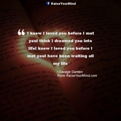 Love Quotes, Sayings & Verses | I knew I loved you before I met youI